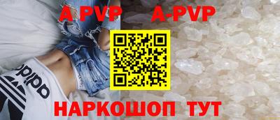 гашик Кунгур