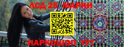 гидропоника Кулебаки