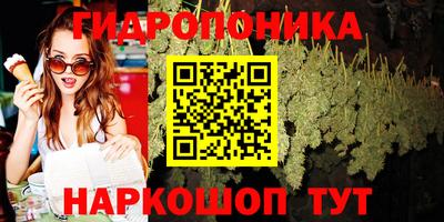 гидропоника Кулебаки