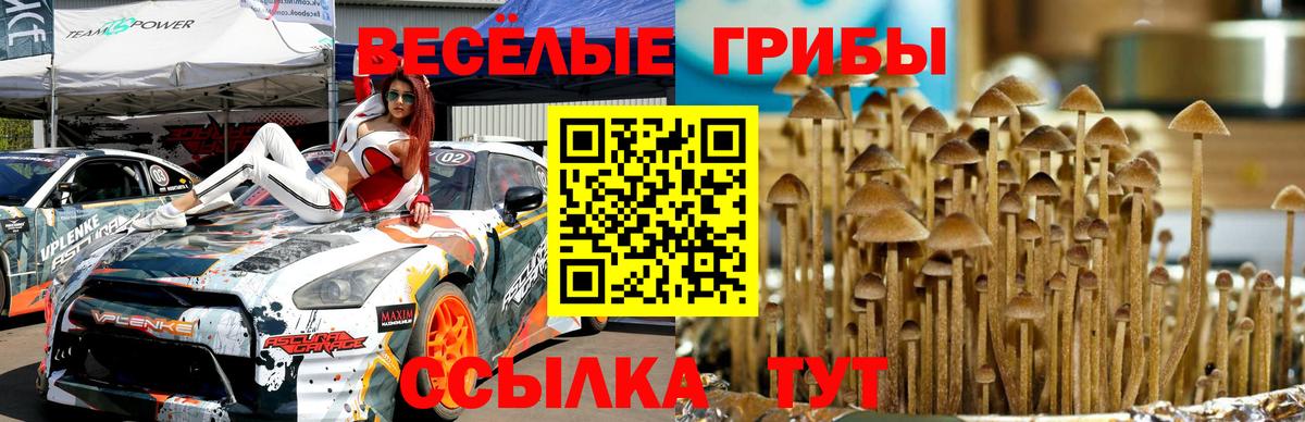 Псилоцибиновые грибы ЛСД  Вход с VPN  Тосно 